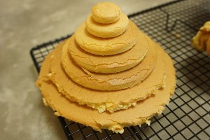 The practice measure of cake of christmas tree modelling 16