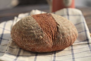 The practice measure that Europe includes wholemeal of natural and yeasty France 4
