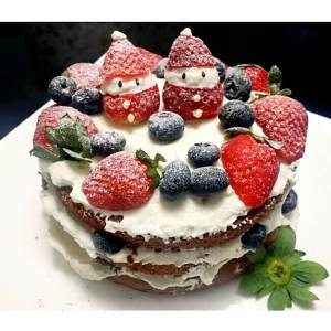 The practice measure of naked cake of Christmas slow-witted bud 6