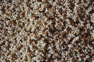 Talk about a day to make food 006 express graceful the practice measure of meal of pumpkin goosefoot wheat 9