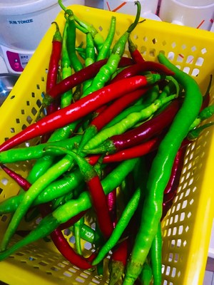 Abstain pepper sauce habit-forming practice measure 1