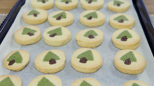 [the Christmas] the practice measure of silvan biscuit 12