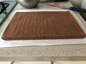 The practice measure that cake of sponge of simple sense chocolate coils 20