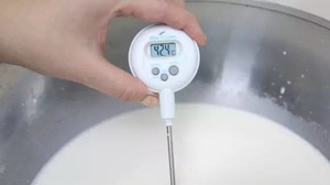 Cheese of cream of almond pine nut (pure white) practice measure 3