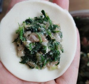 The practice measure of dumpling of shepherd's purse pork 10