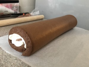 The practice measure that cake of sponge of simple sense chocolate coils 24