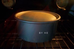 Wind of relative of 6 inches of foundations (cake embryo) practice measure 12