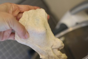Be over explode the practice measure that the soft Europe of sweet beans cheese of bakery includes 5
