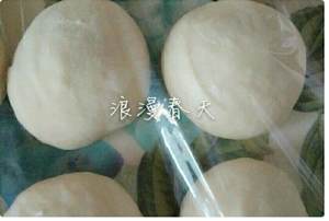The practice measure that exceeds biscuit of delicious dried meat floss 3