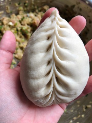 Shandong big steamed stuffed bun (record piece) practice measure 4