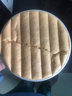 The practice measure of cake of dried meat floss of sea liver mosses 3
