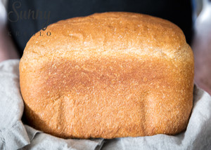 Fundamental whole wheat says department (bread machine edition) the practice measure of bake of Piao health · 4