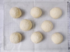 Does salty yoke earth up root lava biscuit? ? practice measure 18