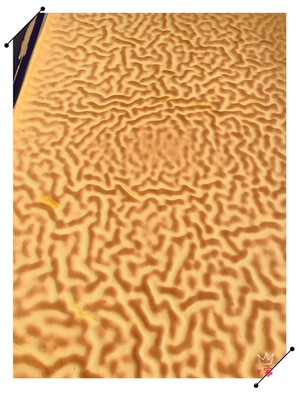 Classical does nevertheless the tiger skin cake when coil? ? The olfactory practice measure of childhood 6