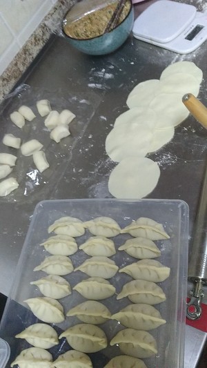 Stuffing of dumpling of stuffing of steamed stuffed bun of stuffing of fleshy steamed stuffed bun is juicily (accessary dumpling skin) practice measure 5