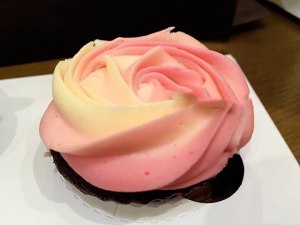 Do not answer shrink the practice measure of cup cake Cupcake 13
