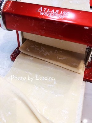 Wonton skin (machine of face of hand dynamic pressure) the practice measure of the makings that contain stuffing 3
