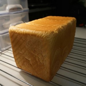 Seize a life the soft (that say department? ′ ? ` ? ) super- soft pull filament fast ferment convenient the practice move that says department 8