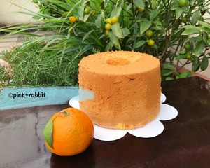 The account of wind of wind furnace relative of Pink-rabbit (wind of bright orange relative) the practice measure that shallow well 17cm imposes high school sky 21