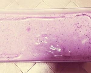 The practice measure of Mu Si of blue berry yoghurt 10