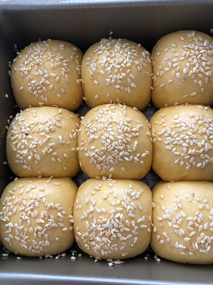The practice measure that barmy pumpkin sesame seed includes 11