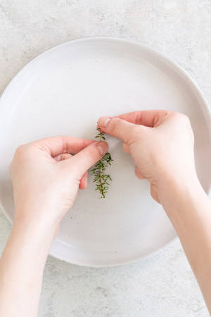 Follow the first dining-room of world advocate the practice measure that hutch learns to make innovation green sauce 1