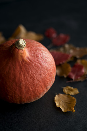 The practice measure that suckles pink of meaning of sweet pumpkin sauce 1