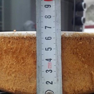 The practice measure of naked cake of Christmas slow-witted bud 4