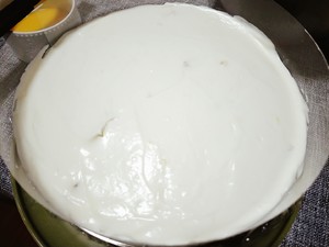 The practice measure of cake of mango Mu Si 9