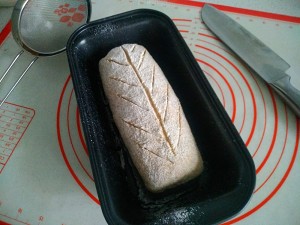 The practice measure that 〔 of whole wheat bread does not have oily 〕 without candy 7