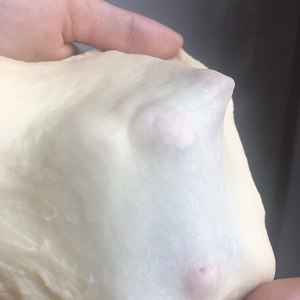 Milk biscuit coils the practice measure of cookbook of boreal vessel oven 4