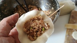 The practice measure of dumpling of dawdle of dish of sauce flesh lotus 8