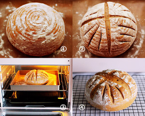 The practice measure that tendril of brown sugar walnut exceeds berry soft Europe to wrap 5