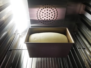 Exceed soft yoghurt to say department greatly, the practice measure that returns quick worker than bread machine 8
