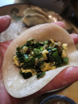 The practice measure of the dumpling of love 7