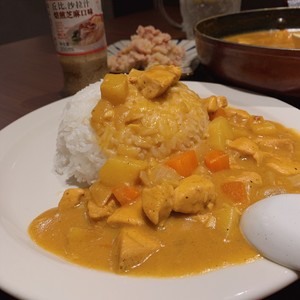 インカルボカレーミール(大きなSは段落と同じです)練習法5
