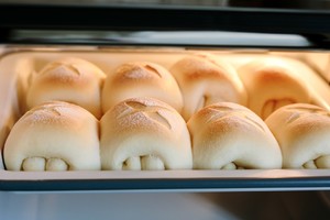 Milk biscuit coils the practice measure of cookbook of boreal vessel oven 20