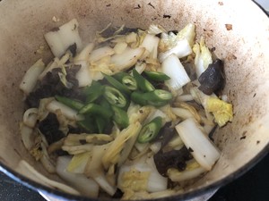 いくつかのホットスパイスプラントのいずれかの系統の白菜のチャウマイエンの筋肉の練習尺度5  