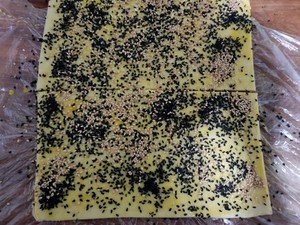 Yam sesame seed practice measure 6