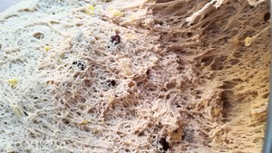 The practice measure of soft Europe of food grains other than wheat and rice of eight treasures nutlet 2