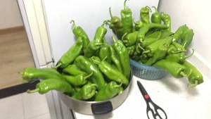 The ～ of appetizing small pickles that can make you much eat a bowl of meal bloats the practice measure that chili encircles 1