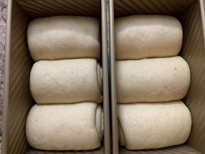 The practice measure that exceeds whole wheat of candy of soft milk palm to say department 19