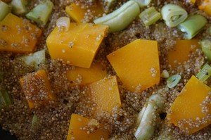 Talk about a day to make food 006 express graceful the practice measure of meal of pumpkin goosefoot wheat 12