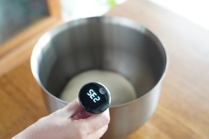 The practice measure of cheese conch biscuit 1