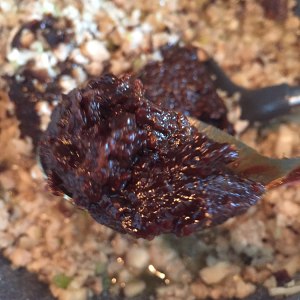 Foul smell of all-purpose sauce sweet flesh child practice measure 19