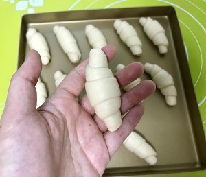 The hand kneads small calf horn to wrap (milk biscuit recipe) practice measure 17