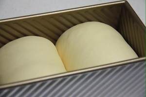 Milk says department (add detailed measure to pursue) practice measure 8