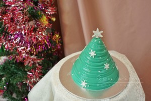 The practice measure of cake of christmas tree modelling 29