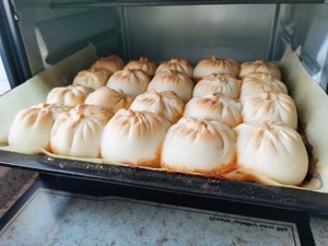 The baking steamed stuffed bun of delicious of simple and tough in season (wrap a constitution from the decoct that carry water) practice measure 9