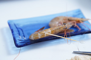 The practice measure of the milk seafood face of Xian Tian quick worker 5